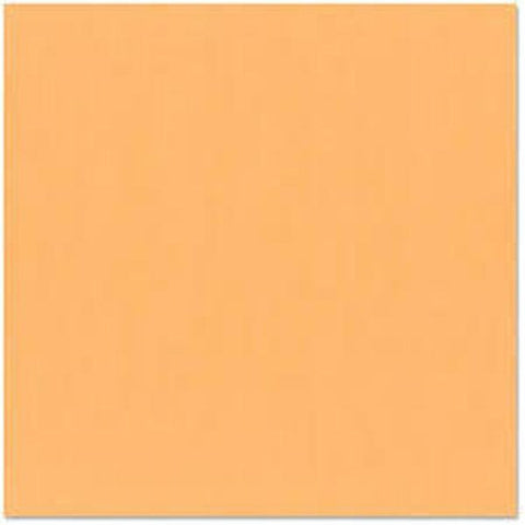 Fourz Cardstock - Mango