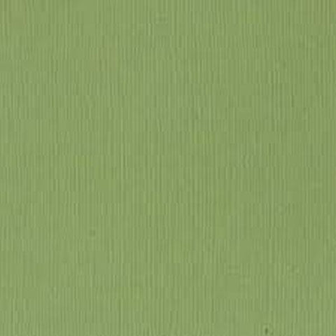 Fourz Cardstock - Lily Pond