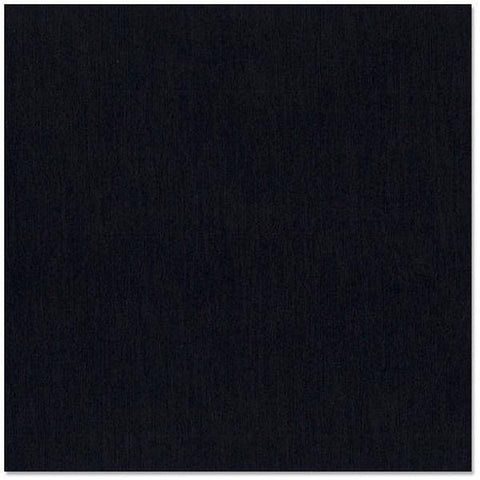 Fourz Cardstock - Blackbird