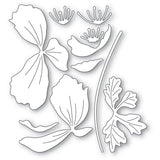 Graceful Anemone - Die