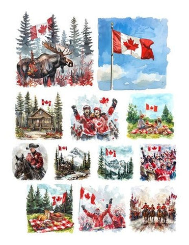 True North - Ephemera - Scenes