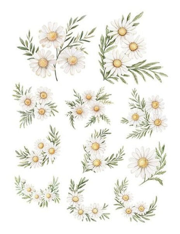 Denim and Daisies - Ephemera - Floral