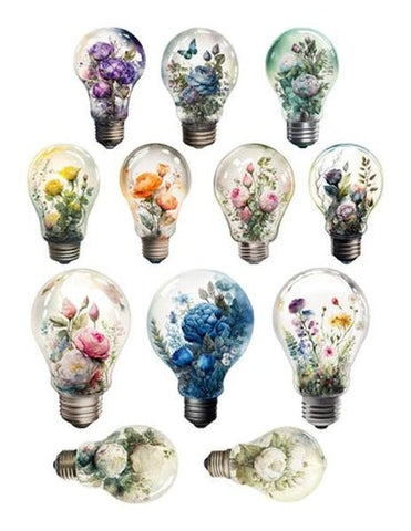 Bulbs Ephemera