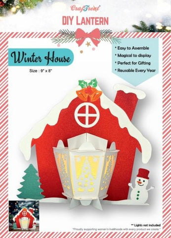 DIY Paper Lanterns - Winter House