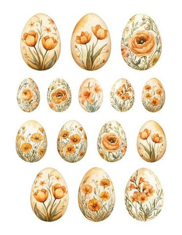 Sir Crunch Alot - Ephemera - Eggs