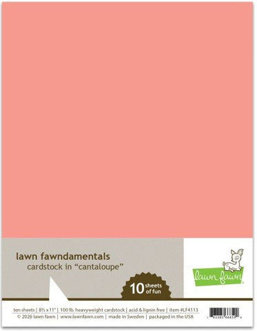 Cardstock - Cantaloupe