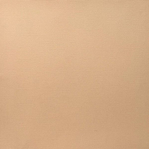 Canvas Texture Cardstock - Porelain Peach
