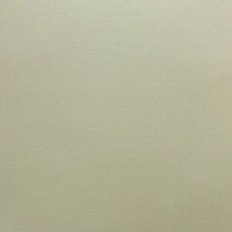 Canvas Texture Cardstock - Desert Aloe