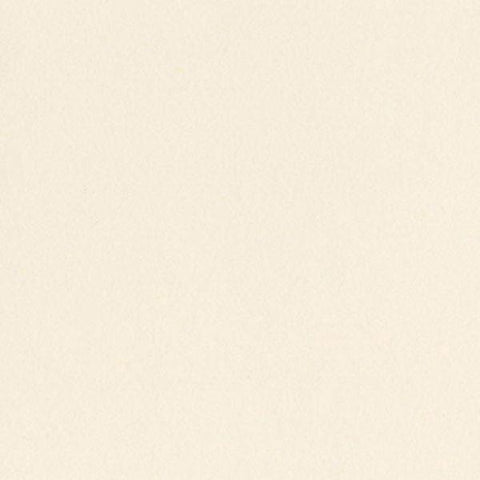 Heavyweight Cardstock - Butter Mints