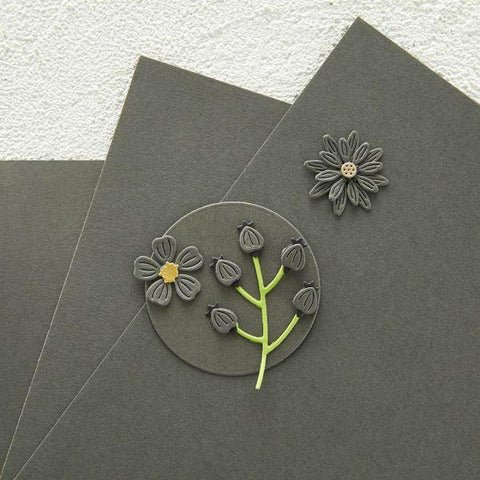 Color Essentials Cardstock - Graphite